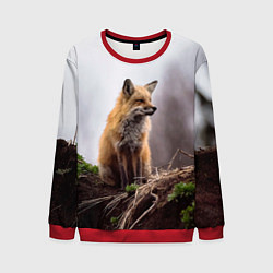 Свитшот мужской Лиса, цвет: 3D-красный