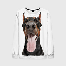 Свитшот мужской Доберман Doberman, цвет: 3D-белый