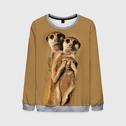 Мужской свитшот Сурикаты