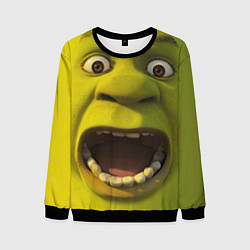 Свитшот мужской Shrek is Yelling, цвет: 3D-черный