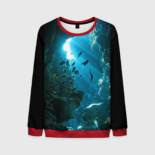 Мужской свитшот Коралловые рыбки / 3D-Красный – фото 1