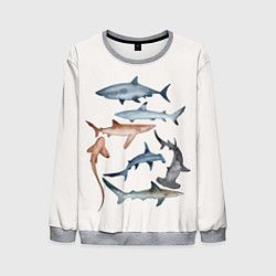 Свитшот мужской Акулы, цвет: 3D-меланж