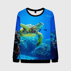 Мужской свитшот Морская черепаха