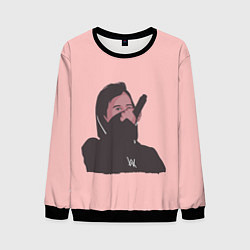 Мужской свитшот Alan Walker Алан Уокер Z