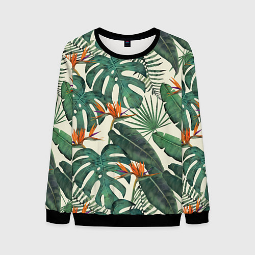 Мужской свитшот Тропический паттерн / 3D-Черный – фото 1