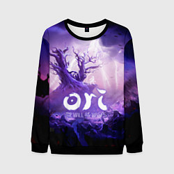 Мужской свитшот Ori and the Will of the Wisps