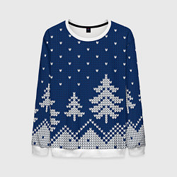 Мужской свитшот Зимняя ночь