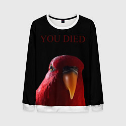 Свитшот мужской Красный попугай Red parrot, цвет: 3D-белый