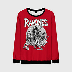 Свитшот мужской BW Ramones, цвет: 3D-черный