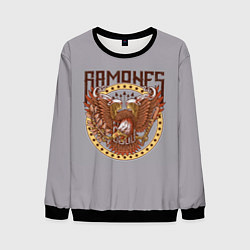 Свитшот мужской Ramones Eagle, цвет: 3D-черный