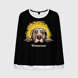 Свитшот мужской Веймаранер Weimaraner, цвет: 3D-белый