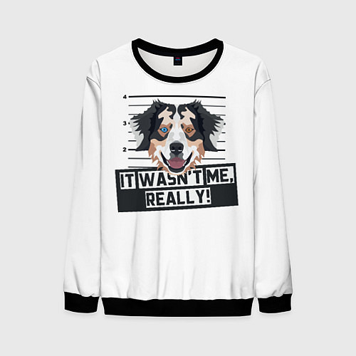 Мужской свитшот Австралийская Овчарка Australian Shepherd / 3D-Черный – фото 1