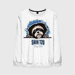 Свитшот мужской Ши-Тцу Shih-Tzu, цвет: 3D-белый