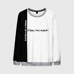 Свитшот мужской System of a Down - Steal This Album!, цвет: 3D-меланж