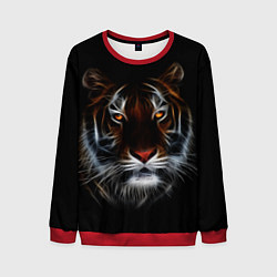 Мужской свитшот Тигр в Темноте Глаза Зверя