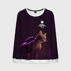 Мужской свитшот Stray: Wandering Cat