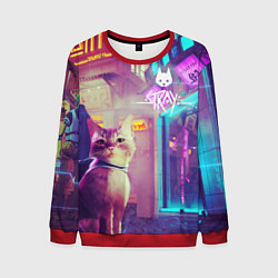 Свитшот мужской Stray, цвет: 3D-красный