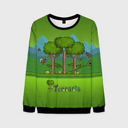 Свитшот мужской Лесок в Террарии, цвет: 3D-черный