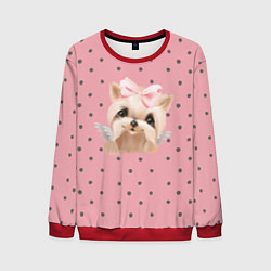 Мужской свитшот Йорк с крылышками