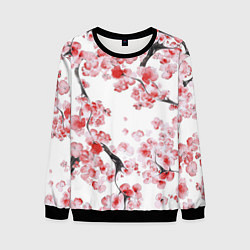 Мужской свитшот Ранняя сакура