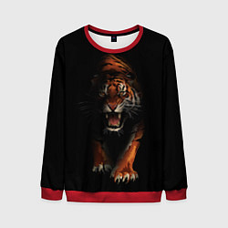 Свитшот мужской Тигр на черном фоне, цвет: 3D-красный