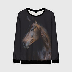 Свитшот мужской Лошадь Благородство, цвет: 3D-черный