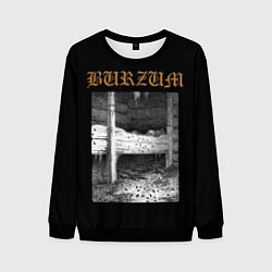 Свитшот мужской Burzum cockroaches, цвет: 3D-черный