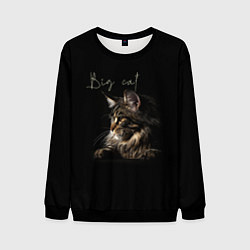 Свитшот мужской Big cat Maine Coon, цвет: 3D-черный