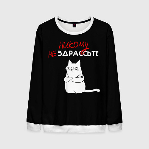Мужской свитшот Неприветливый кот / 3D-Белый – фото 1