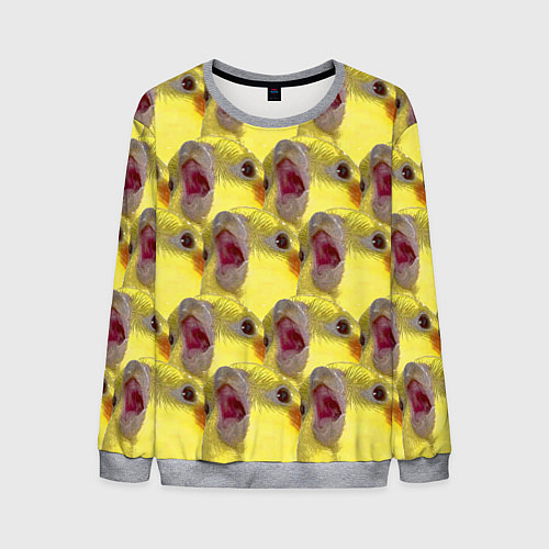 Мужской свитшот Попугай Корелла Орёт Мем / 3D-Меланж – фото 1