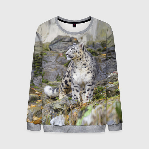 Мужской свитшот Снежный барс среди скал / 3D-Меланж – фото 1