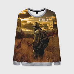 Свитшот мужской STALKER В Поле, цвет: 3D-меланж