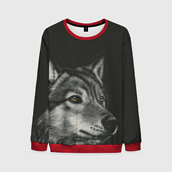 Свитшот мужской Спокойный серый волк, цвет: 3D-красный