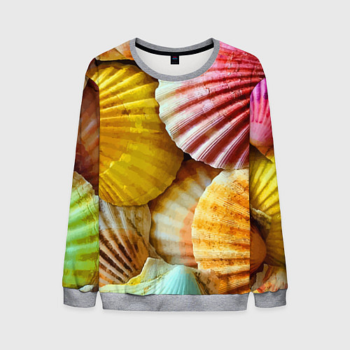 Мужской свитшот Разноцветные створки океанских раковин / 3D-Меланж – фото 1