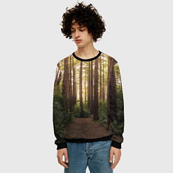 Свитшот мужской Дневной лес, деревья и свет, цвет: 3D-черный — фото 2