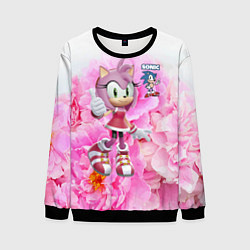 Свитшот мужской Sonic - Amy Rose - Video game, цвет: 3D-черный