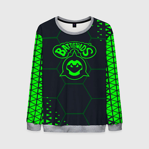 Мужской свитшот Battletoads Абстракция соты / 3D-Меланж – фото 1