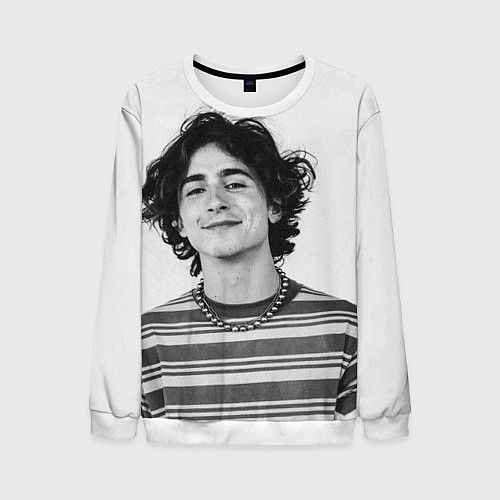 Мужской свитшот Timothee Chalamet black white photo / 3D-Белый – фото 1