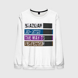 Свитшот мужской Jiu Jitsu Rank, цвет: 3D-белый