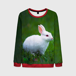 Свитшот мужской Кролик на фоне травы, цвет: 3D-красный