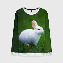 Свитшот мужской Кролик на фоне травы, цвет: 3D-белый