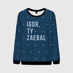 Свитшот мужской Igor ty za*bal свитер, цвет: 3D-черный