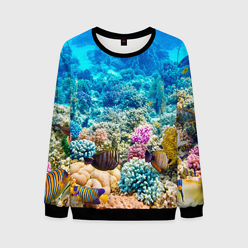 Мужской свитшот Дно морское / 3D-Черный – фото 1