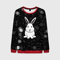 Мужской свитшот Год кролика 2023