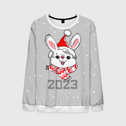 Свитшот мужской Белый кролик в шарфе 2023, цвет: 3D-белый