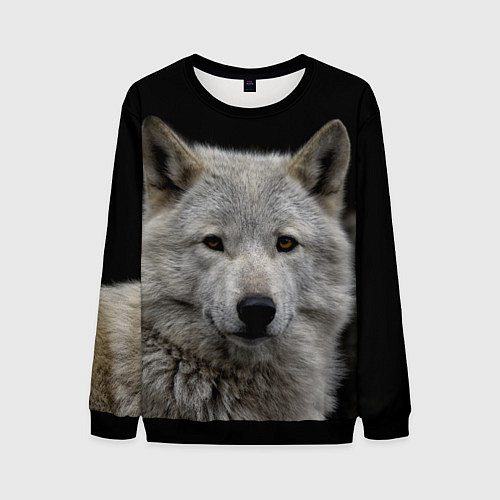 Мужской свитшот Серый волк на темном фоне / 3D-Черный – фото 1