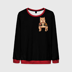 Мужской свитшот Yakuza dog samurai