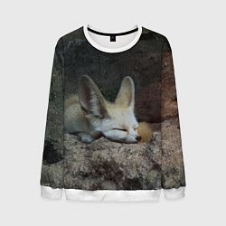 Мужской свитшот Фенек