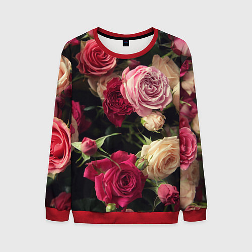 Мужской свитшот Нежные кустовые розы / 3D-Красный – фото 1