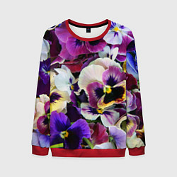 Свитшот мужской Красивые анютины глазки, цвет: 3D-красный